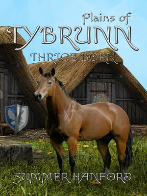 cover image of Plains of Tybrunn
